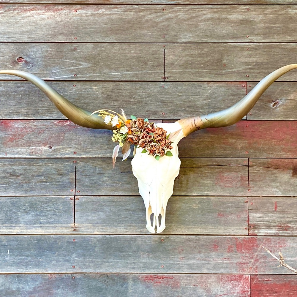 Authentic Texas Longhorn cow skull art by Triggered Goods